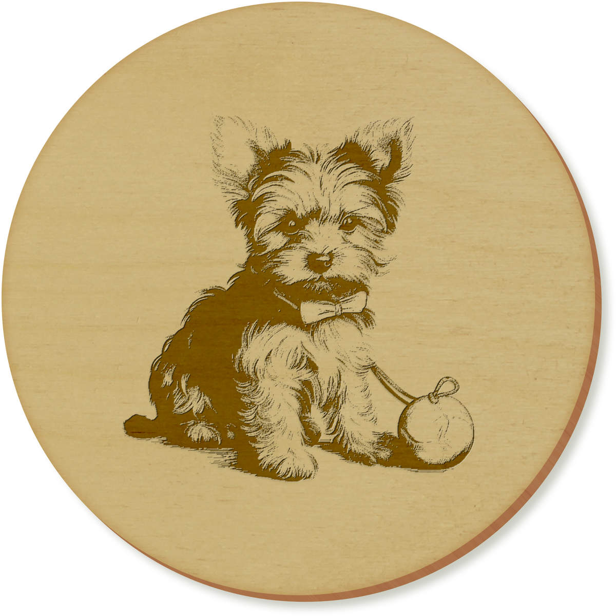 'yorkie puppy with toy' Coaster Sets (CR043007)