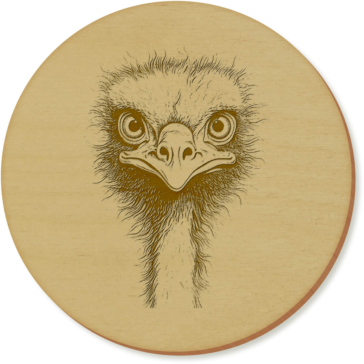'Ostrich Head' Coaster Sets (CR043578)