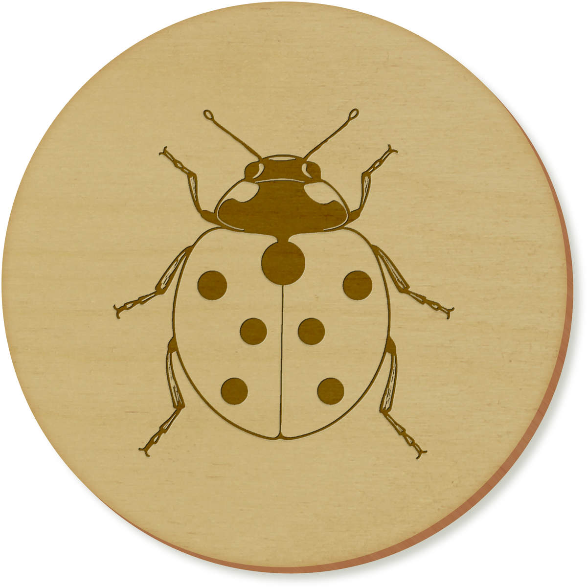 'Ladybird' Coaster Sets (CR055117)