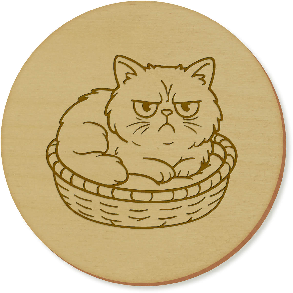 'Grumpy Persian Cat' Coaster Sets (CR056480)