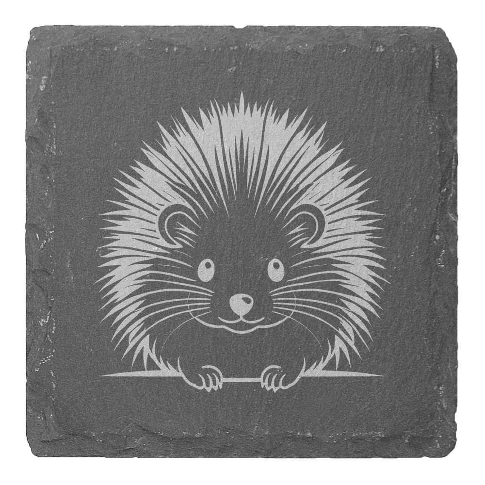 4 x 'Long Tailed Porcupine' 10cm Square Slate Coasters (CR00219111)