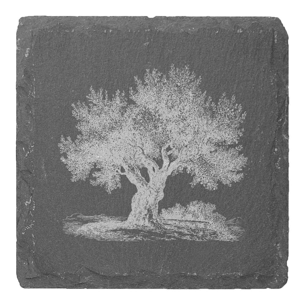 'Vintage Olive Tree' Coaster Sets (CR055841) - Picture 5 of 6