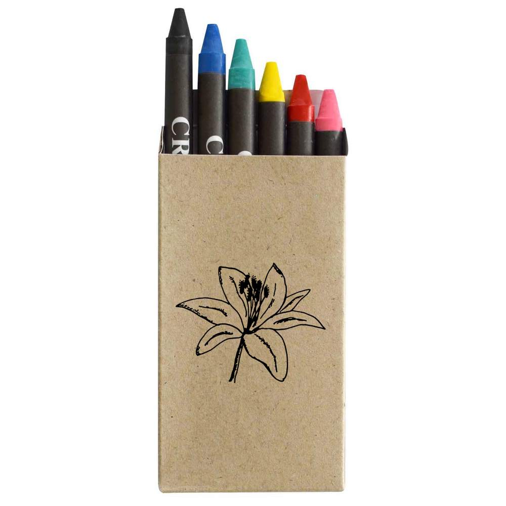'Lilly' Coloured Crayon Set (CY00001457)