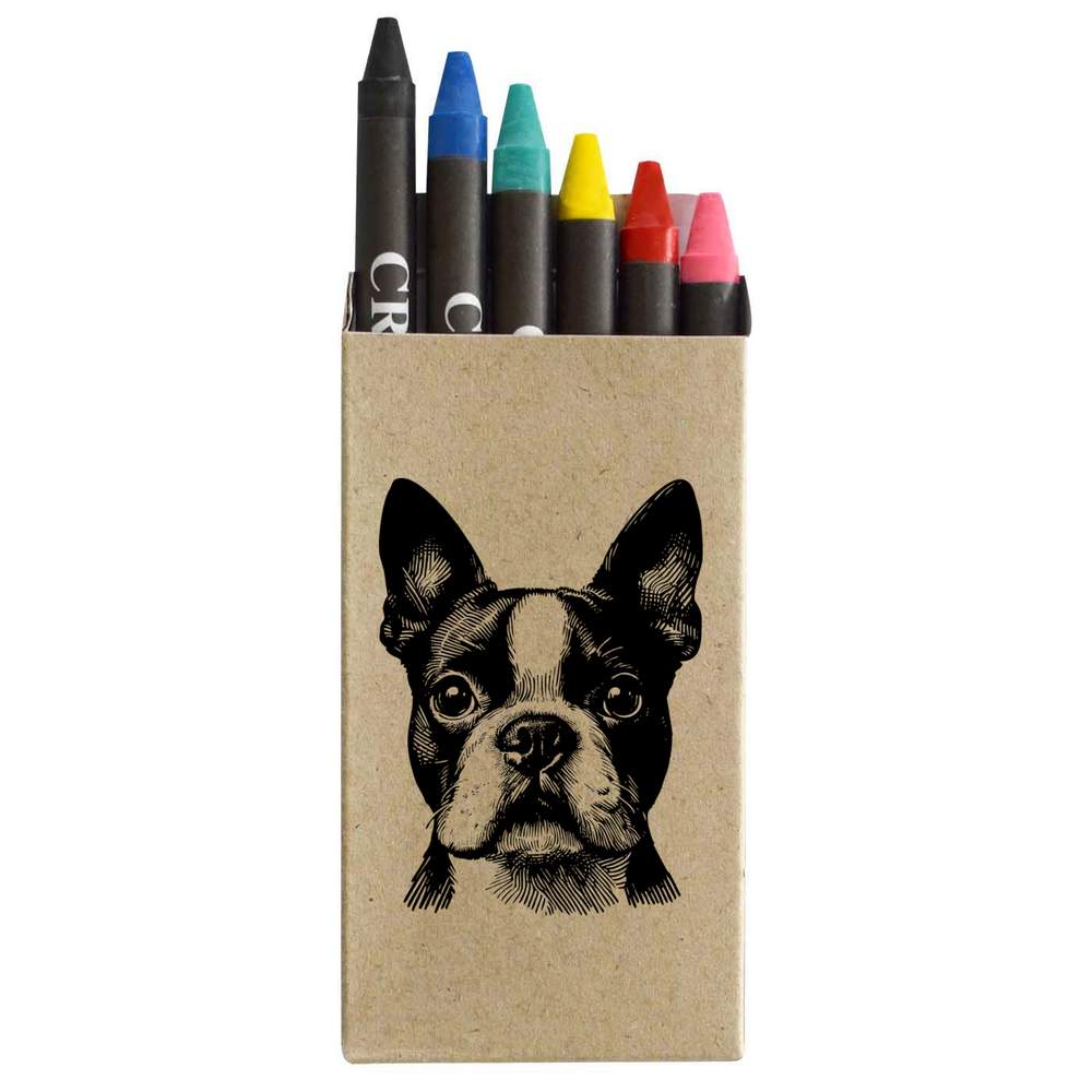 'Boston Terrier' Coloured Crayon Set (CY00030983)