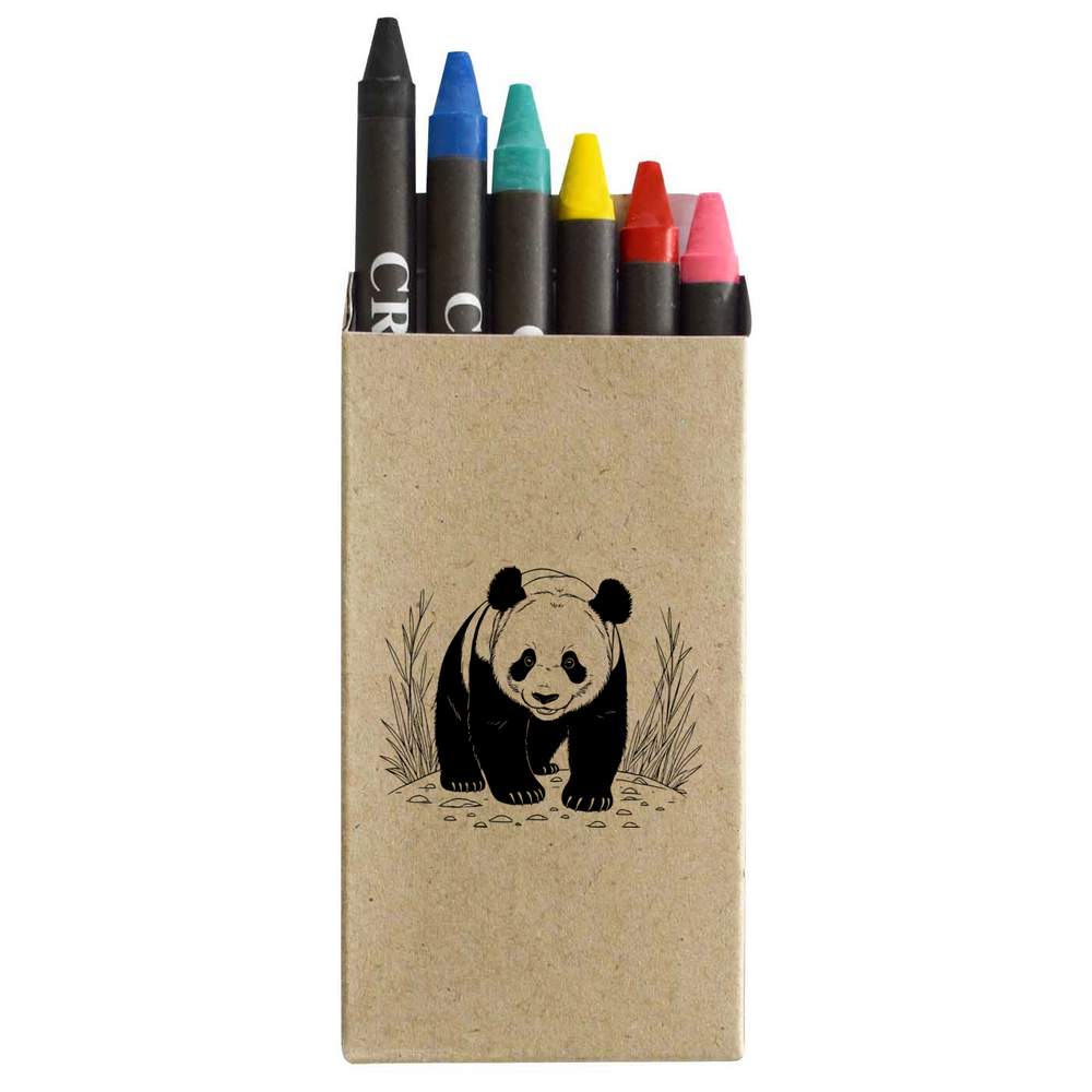 'Giant Panda' Coloured Crayon Set (CY00031363)
