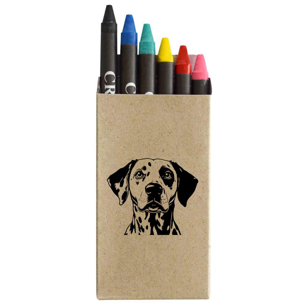 'Dalmation Portrait' Coloured Crayon Set (CY00032378)