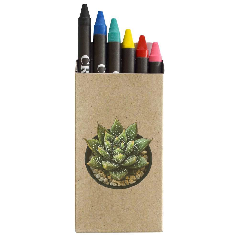 'Zebra Haworthia Succulent' Coloured Crayon Set (CY00033313)