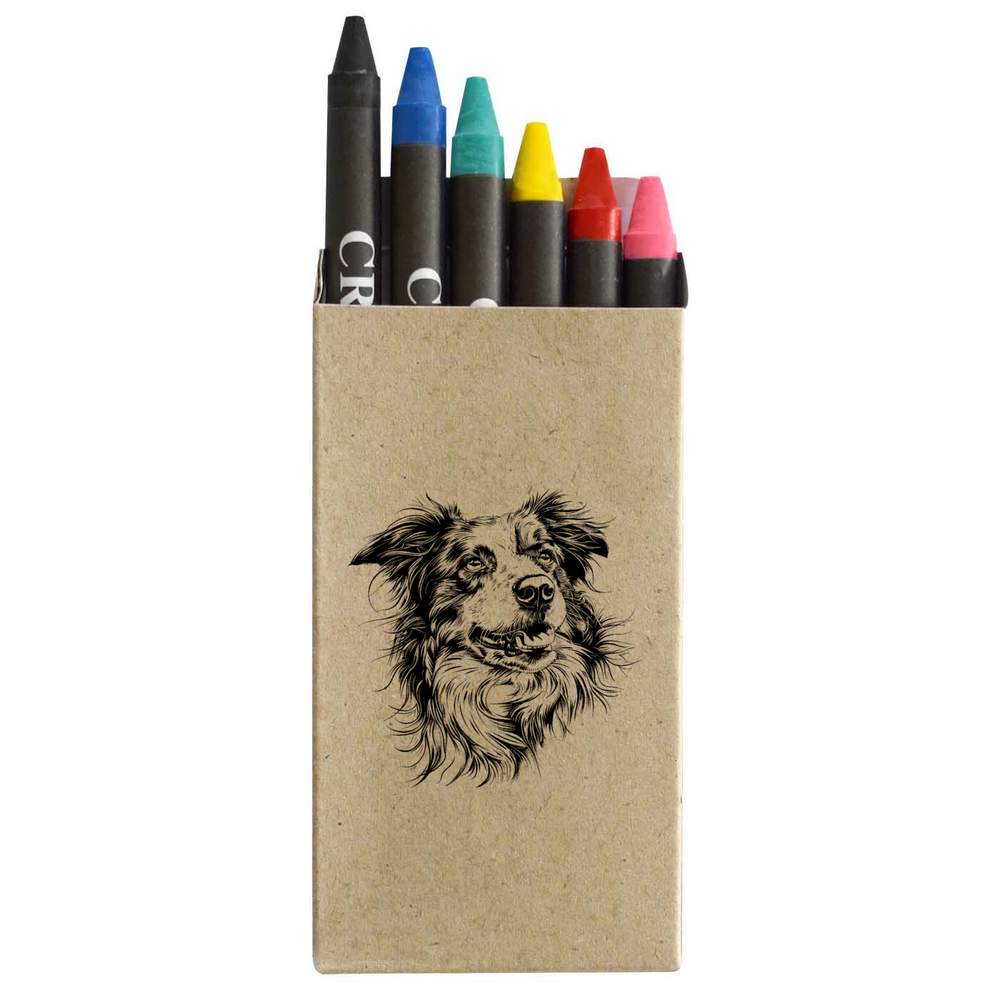 'Australian Shepherd Portrait' Coloured Crayon Set (CY00033805)