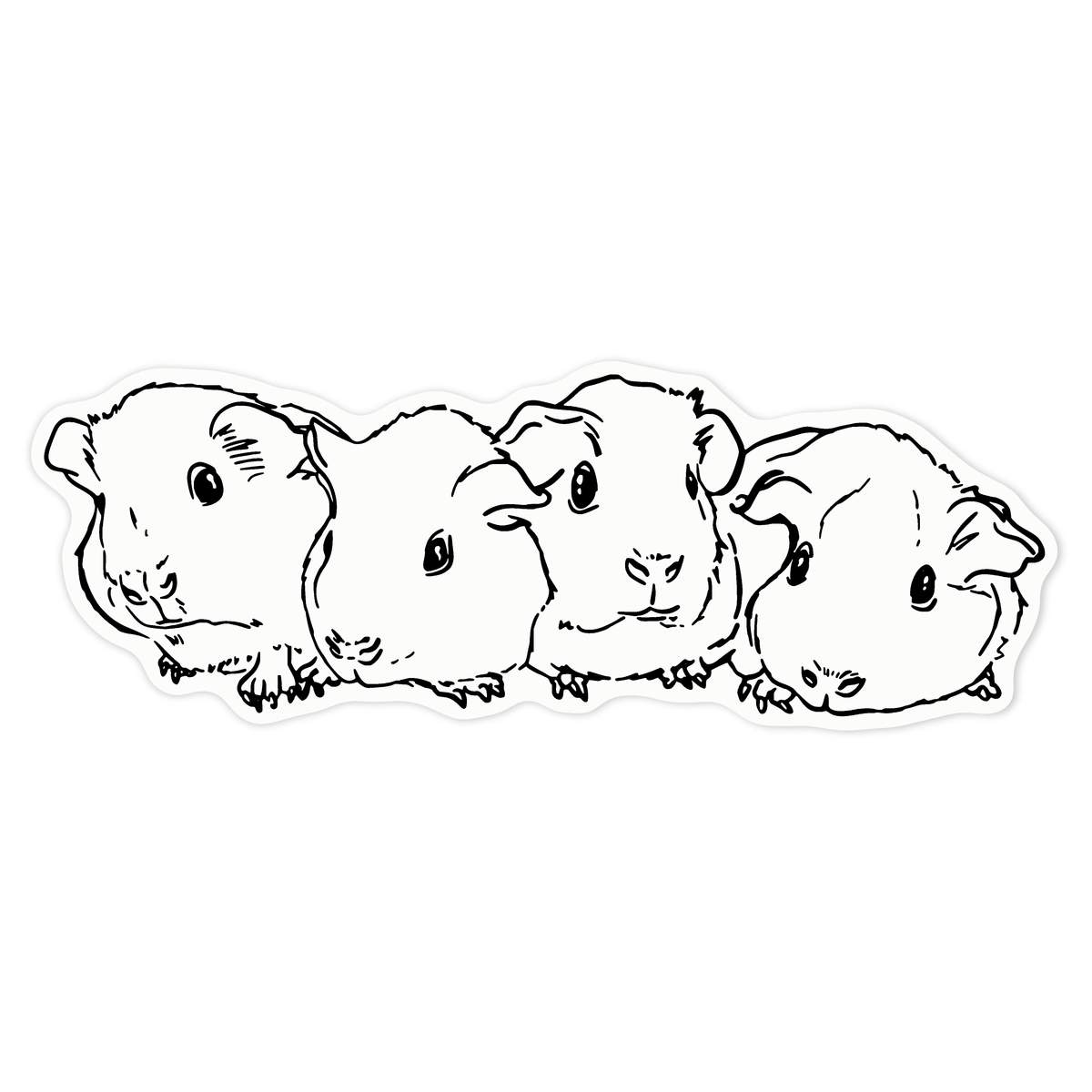 'Baby Guinea Pigs' Clear Premium Vinyl Decal Stickers – Waterproof, Durable & Easy to Apply - For Car Bumpers, Windows, Bins & More - Large (210mm) (DC00044547)