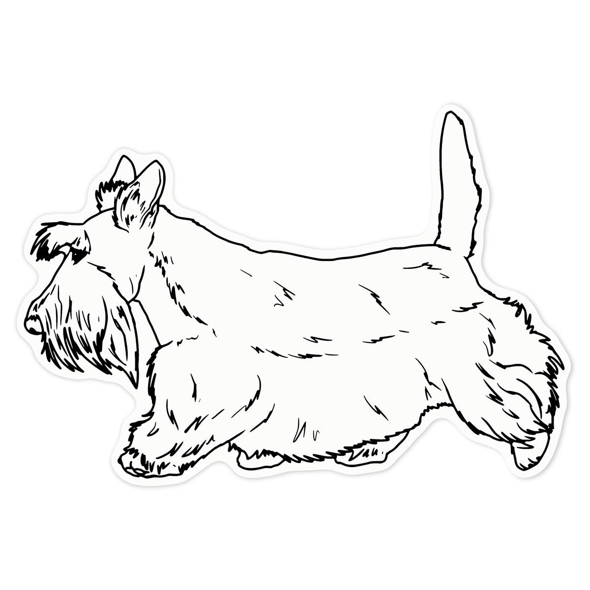 'Walking Scottish Terrier' Clear Premium Vinyl Decal Stickers – Waterproof, Durable & Easy to Apply - For Car Bumpers, Windows, Bins & More - Large (210mm) (DC00115994)