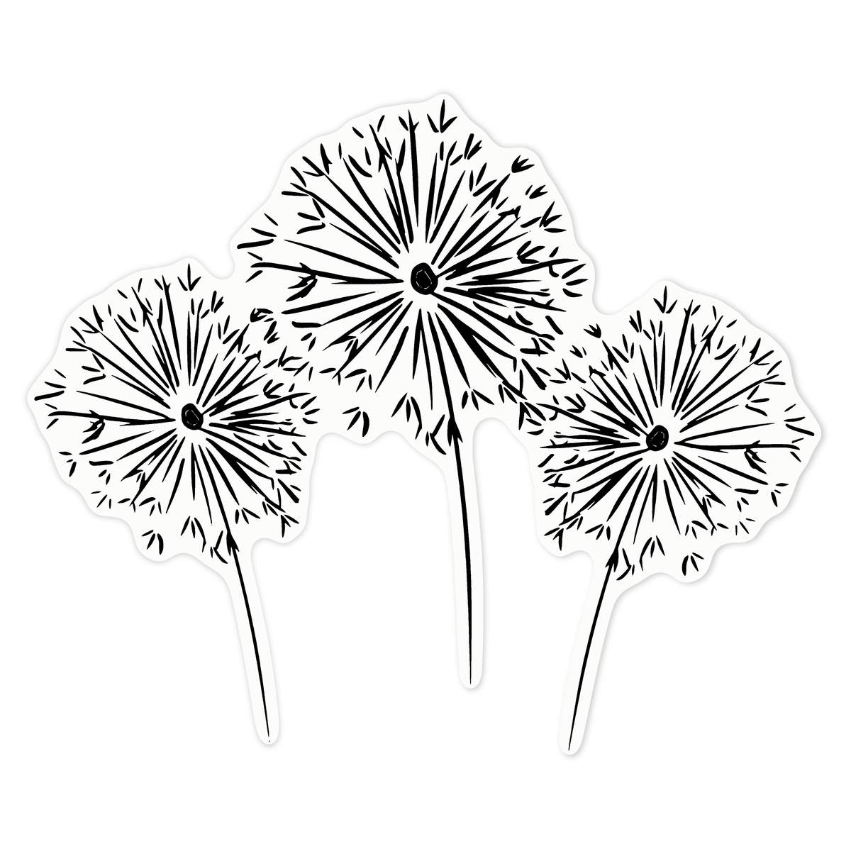 'Dandelion Clocks' Clear Premium Vinyl Decal Stickers – Waterproof, Durable & Easy to Apply - For Car Bumpers, Windows, Bins & More - Large (210mm) (DC00131302)