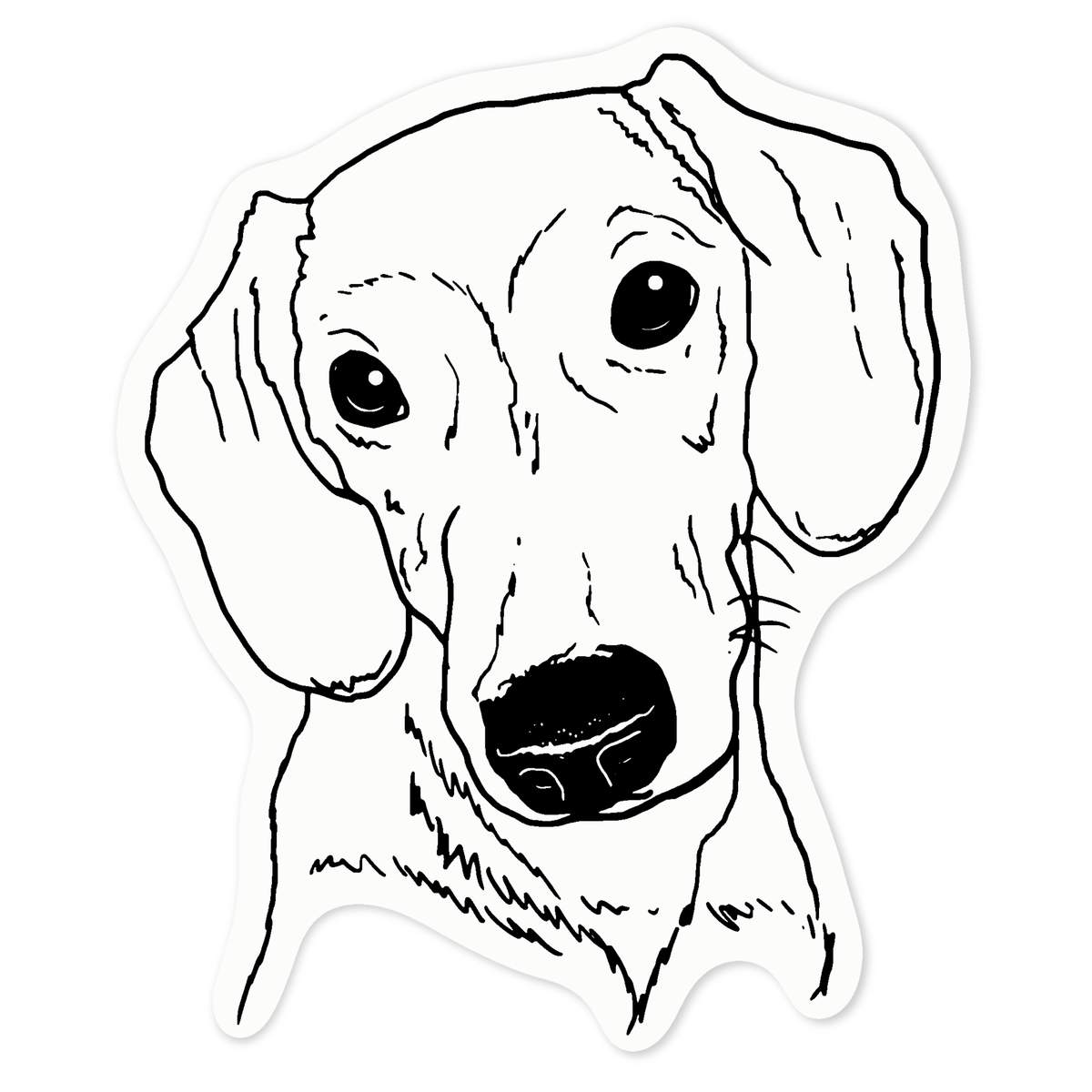 'Cute Daschund' Clear Premium Vinyl Decal Stickers – Waterproof, Durable & Easy to Apply - For Car Bumpers, Windows, Bins & More - Medium (100mm) (DC00077002)