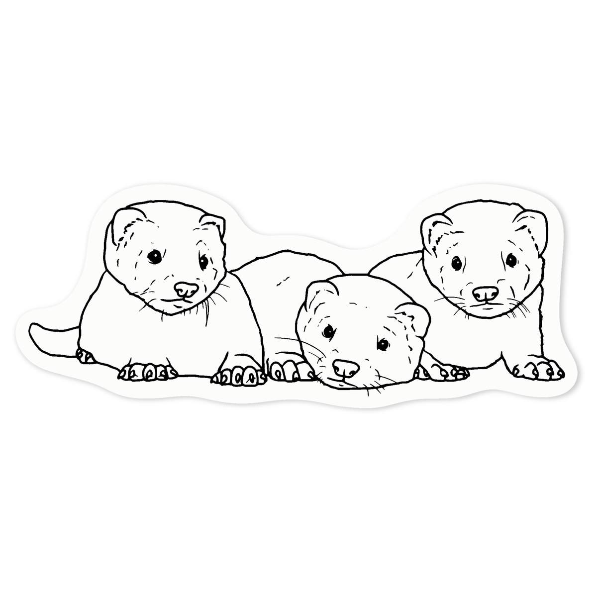 'Baby Ferrets' Clear Premium Vinyl Decal Stickers – Waterproof, Durable & Easy to Apply - For Car Bumpers, Windows, Bins & More - Medium (100mm) (DC00106490)