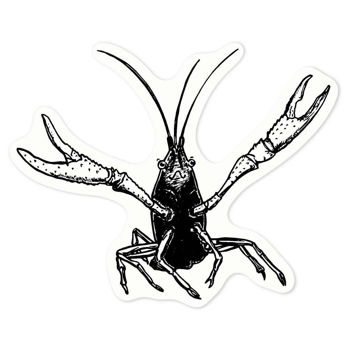 'Happy Crayfish' Clear Premium Vinyl Decal Stickers – Waterproof, Durable & Easy to Apply - For Car Bumpers, Windows, Bins & More - Medium (100mm) (DC00111230)