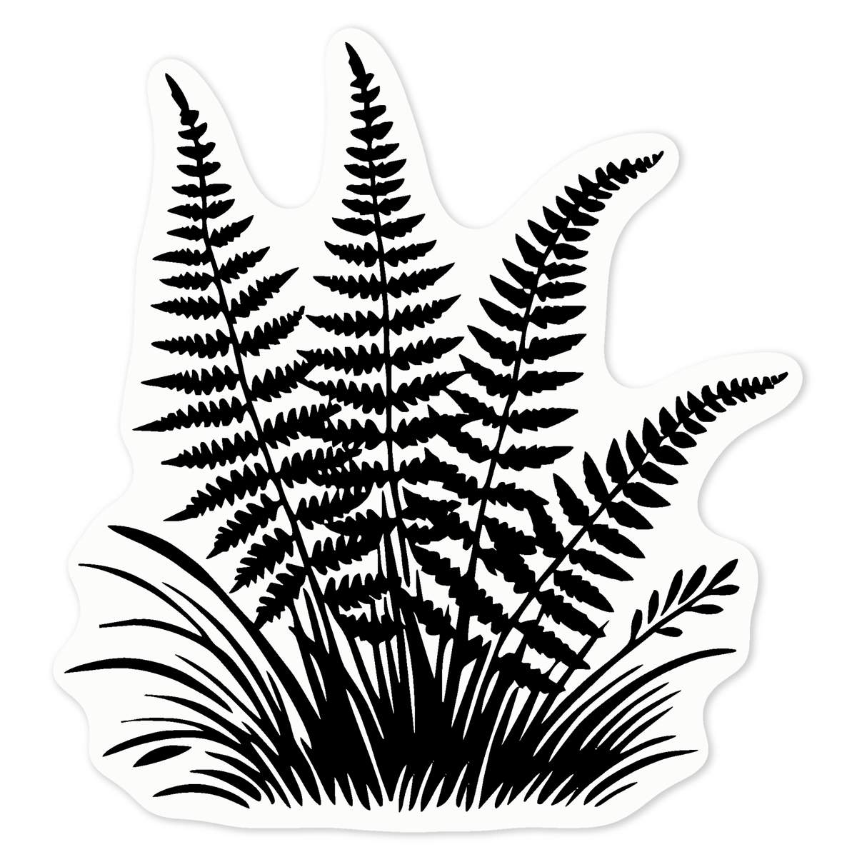 'Ferns and Grass' Vinyl Decal Sticker - Clear, 10cm - Waterproof Permanent Graphic for Cars, Windows, Bins and Smooth Surfaces (DC00127433)