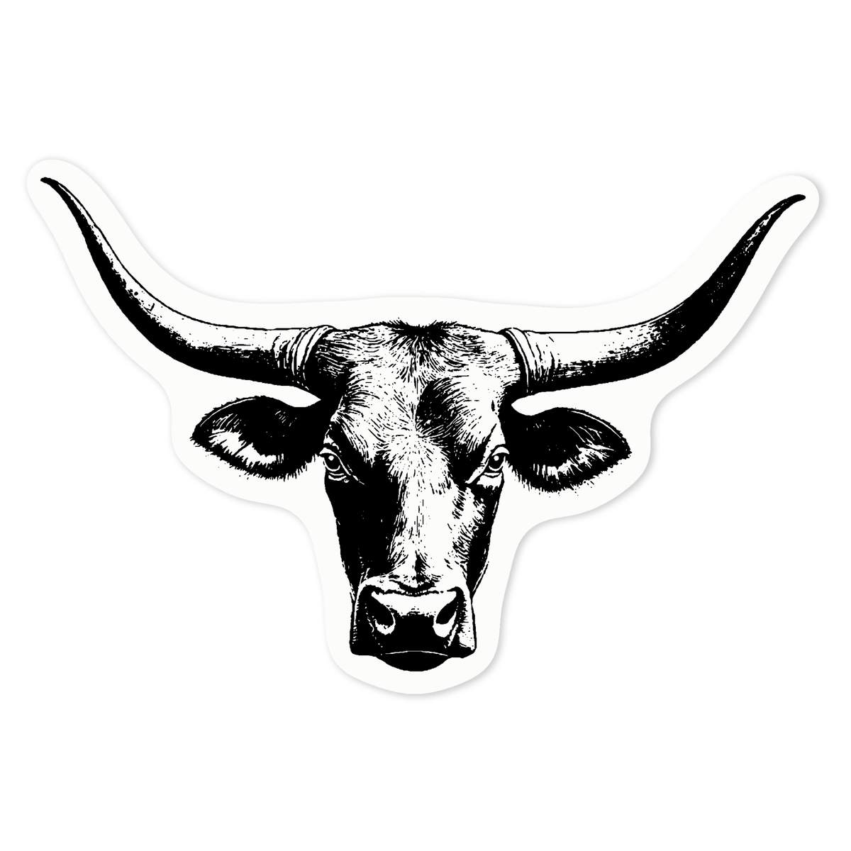'Longhorn Bull' Clear Premium Vinyl Decal Stickers – Waterproof, Durable & Easy to Apply - For Car Bumpers, Windows, Bins & More - Medium (100mm) (DC00137781)