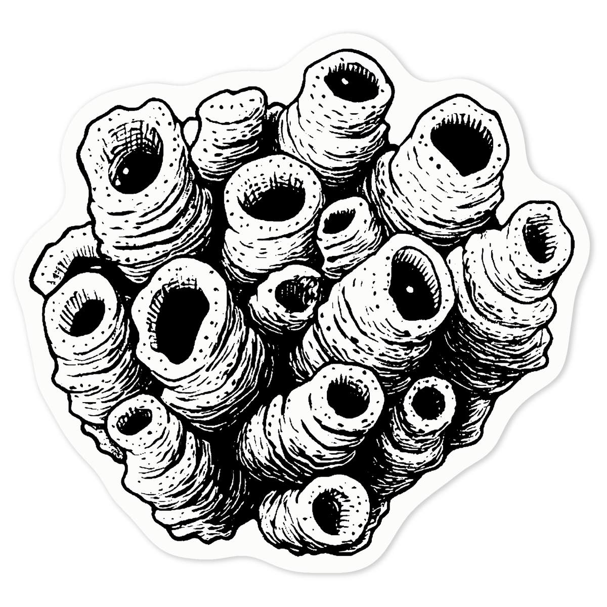 'Enclave of Barnacles' Clear Premium Vinyl Decal Stickers – Waterproof, Durable & Easy to Apply - For Car Bumpers, Windows, Bins & More - Medium (100mm) (DC00140313)