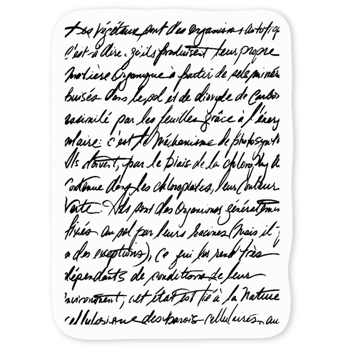 'Botanical Script' Clear Sticker Decals (DC008794)