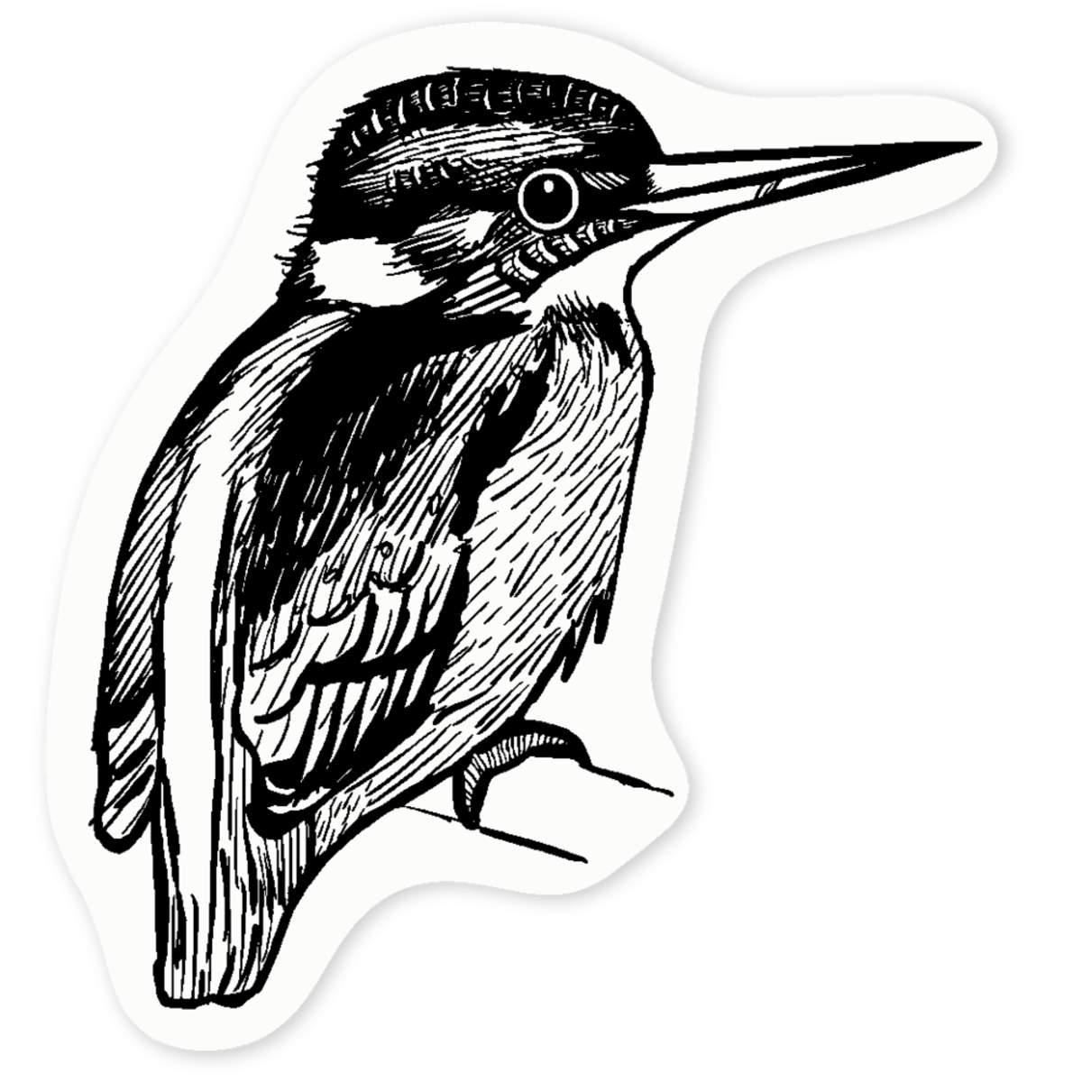 'Kingfisher' Clear Vinyl Decal Sticker - Waterproof Permanent Vinyl Decal for Cars, Windows and Bins (DC022012)