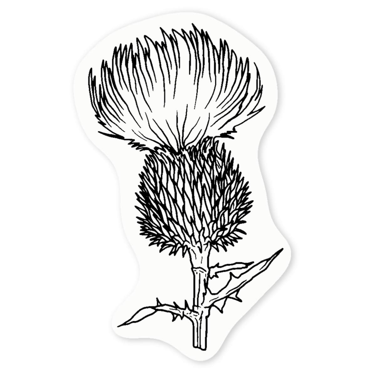 'Thistle' Clear Sticker Decals (DC030114)