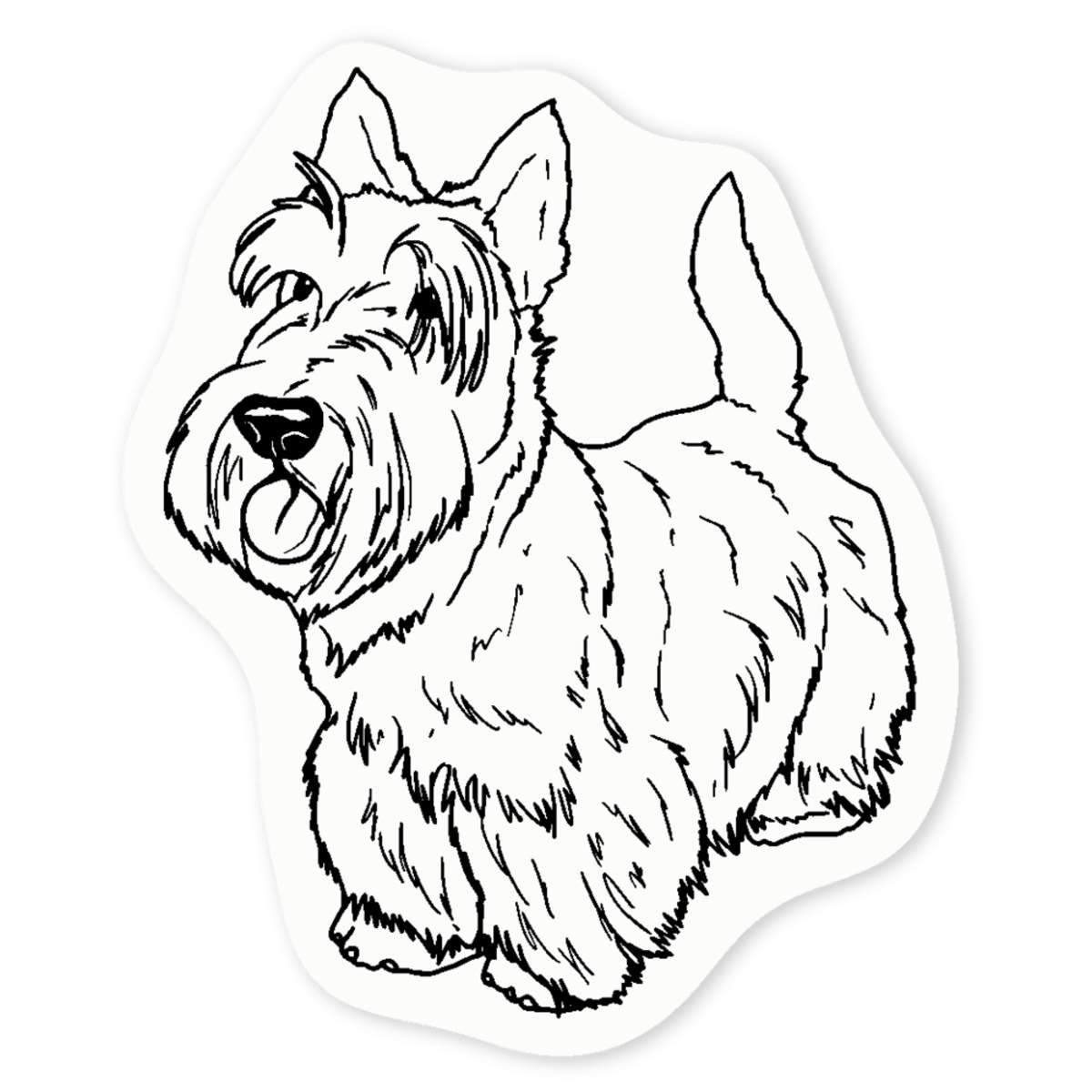 'Scottish Terrier' Clear Sticker Decals (DC031787)