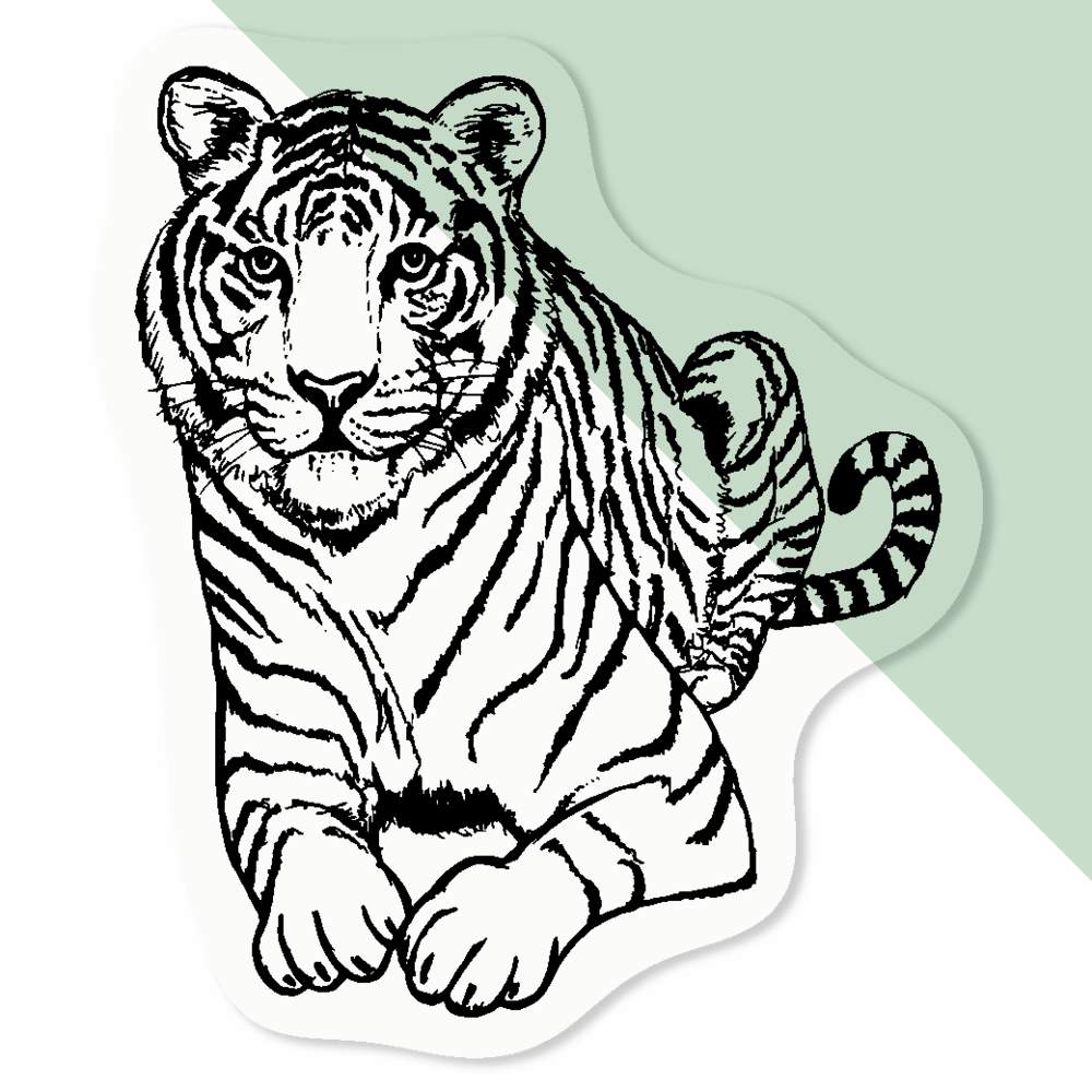 'Sitting Tiger' Clear Sticker Decals (DC034525) - Picture 7 of 30