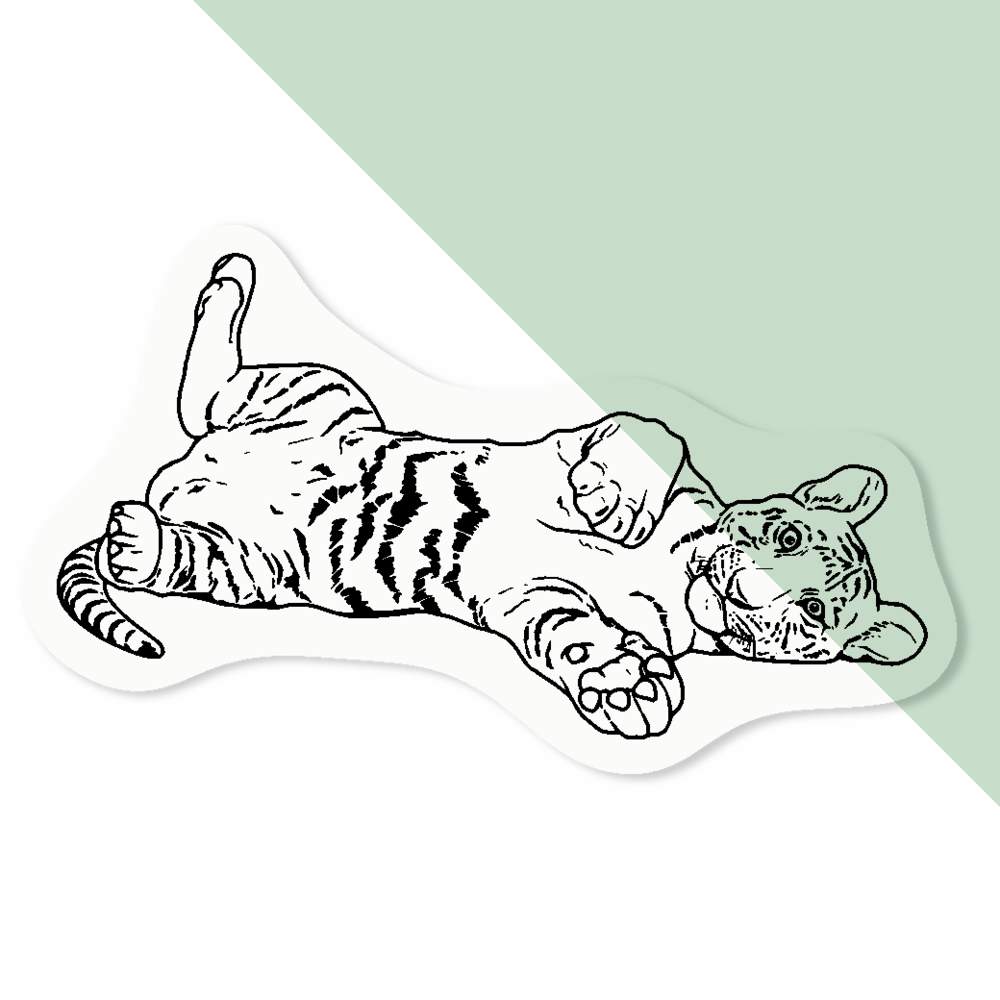 'Tiger Cub' Clear Sticker Decals (DC035328) - Picture 7 of 30