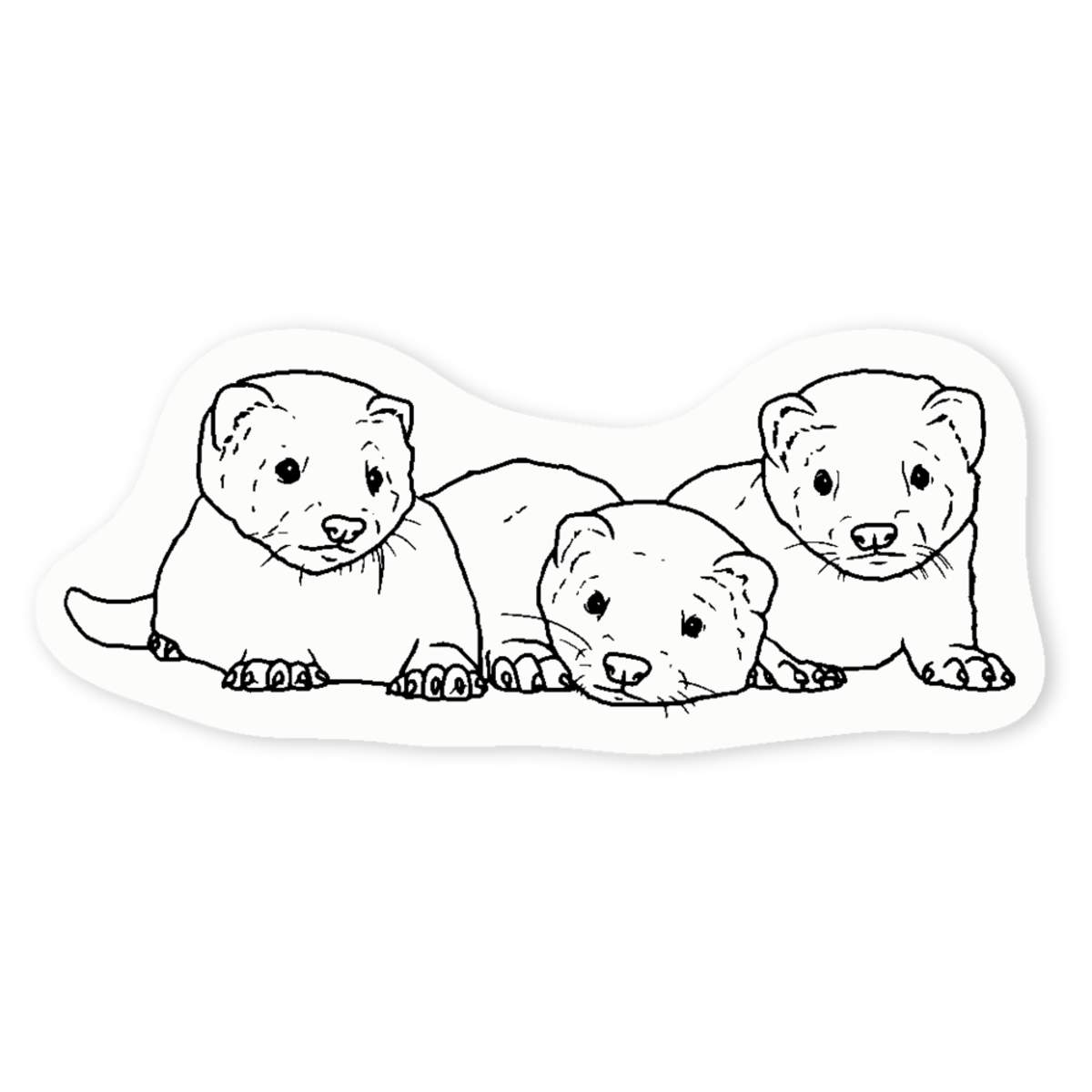 'Baby Ferrets' Clear Sticker Decals (DC035549)