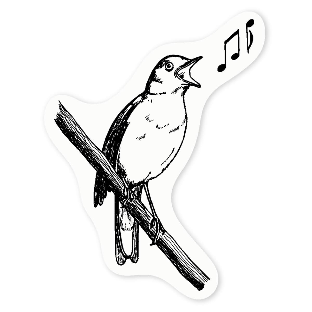'Common Nightingale' Clear Sticker Decals (DC035883)