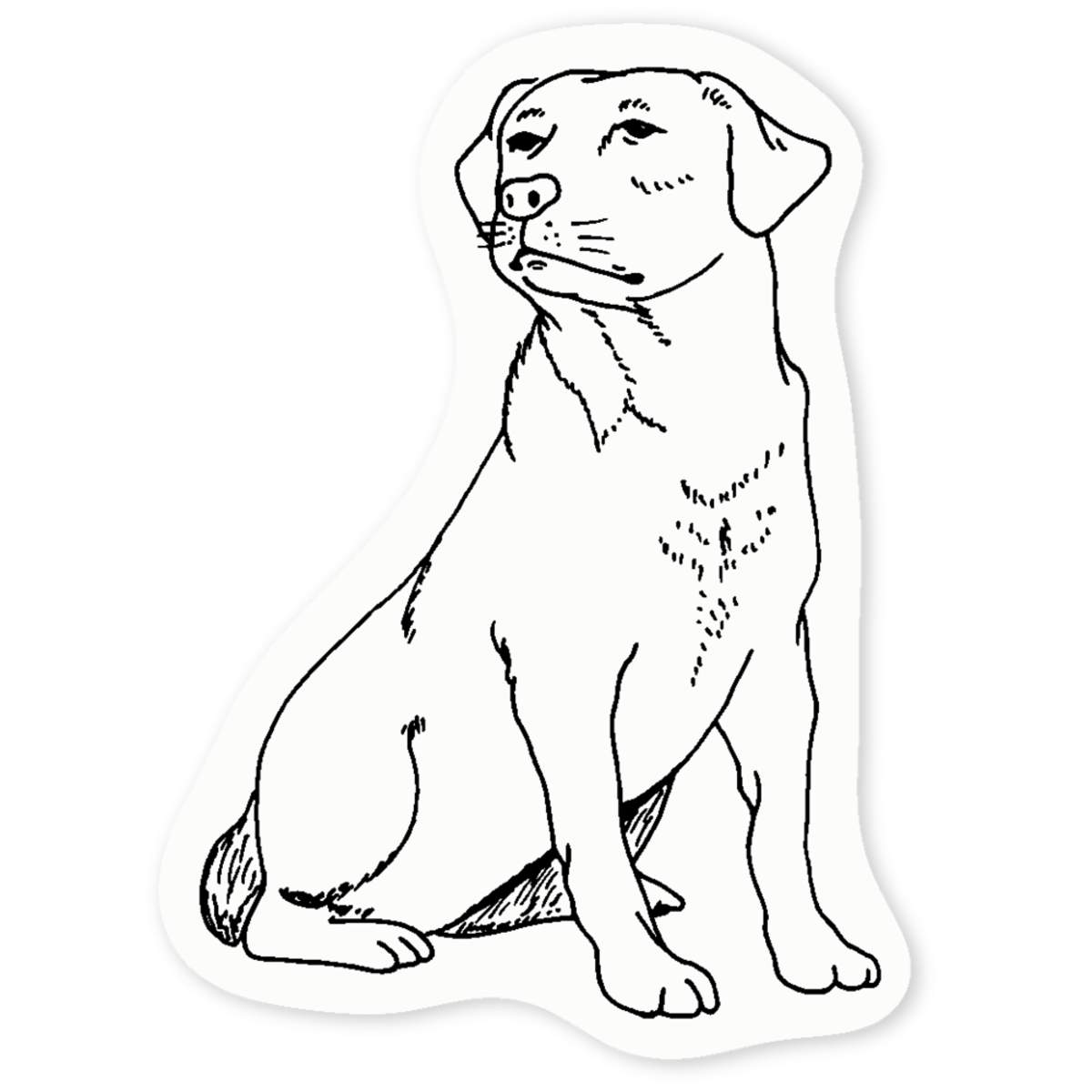 'Labrador' Clear Sticker Decals (DC036111)
