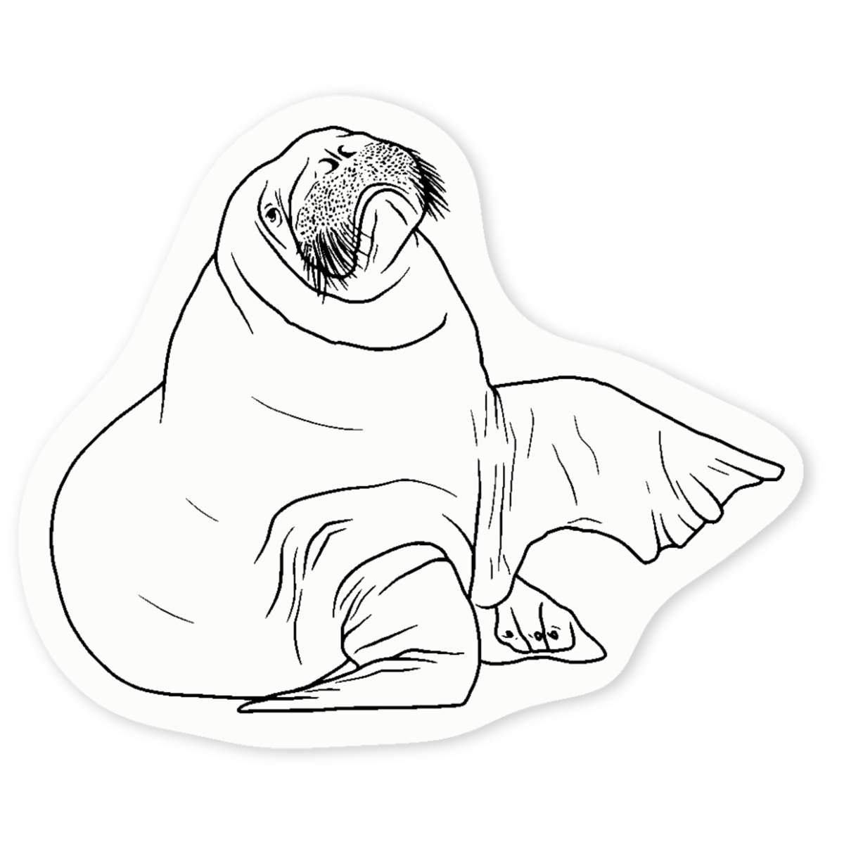 'Walrus' Clear Sticker Decals (DC036516)