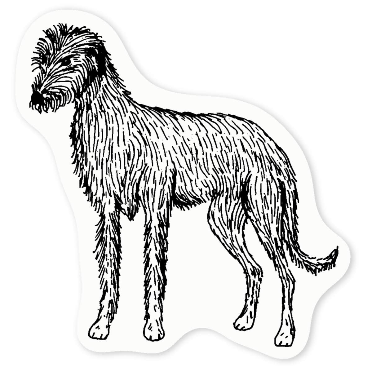 'Lurcher' Clear Sticker Decals (DC036566)