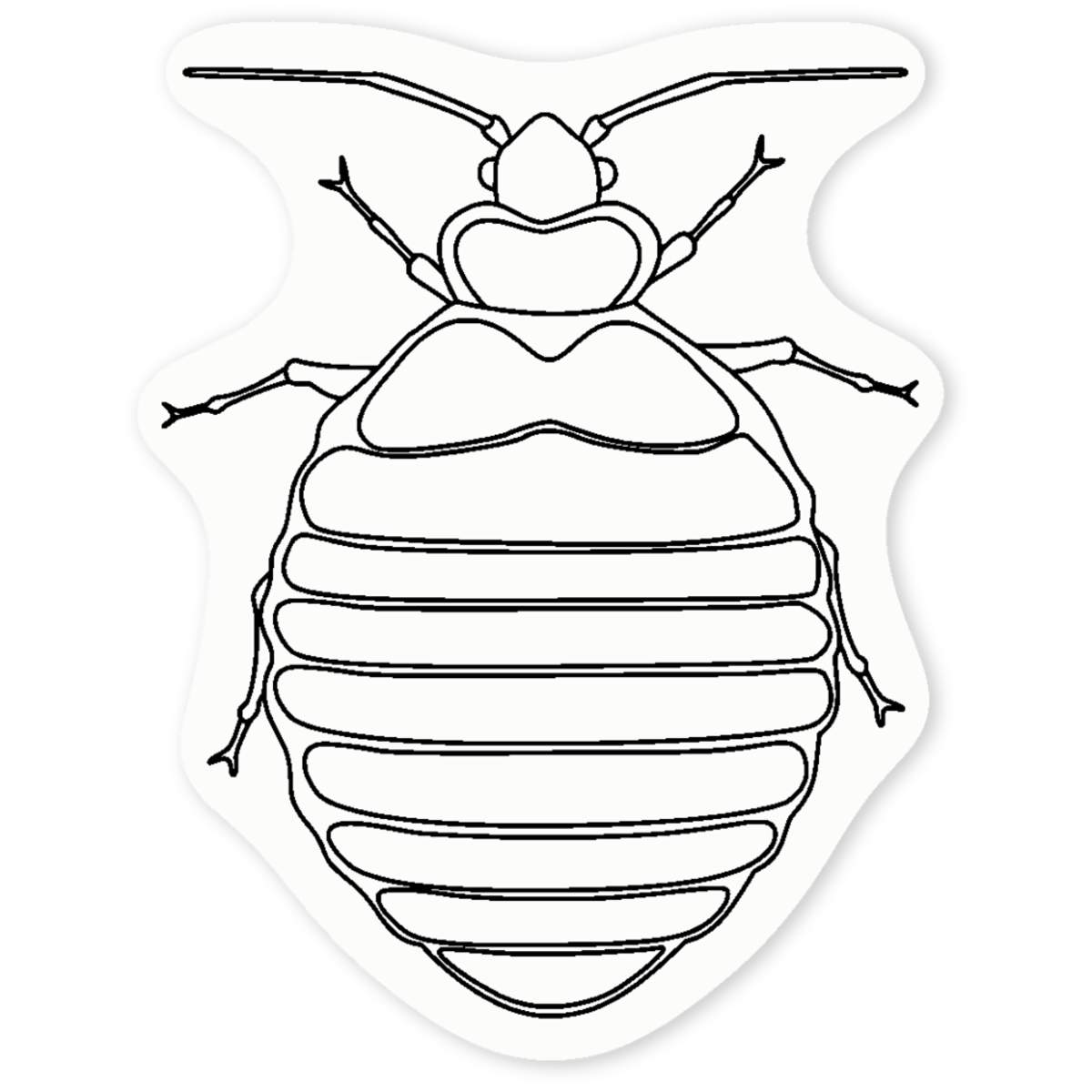 'Bed Bug' Clear Sticker Decals (DC042242)