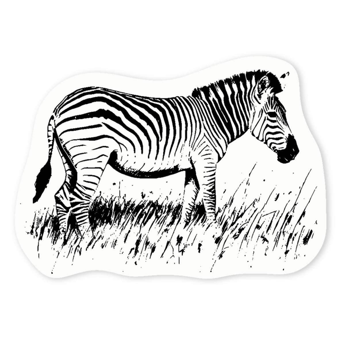 'Zebra Grazing on Grass' Clear Sticker Decals (DC046214)