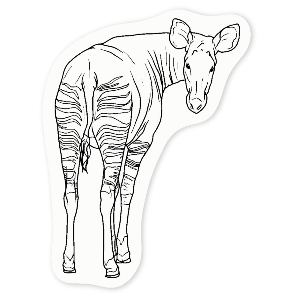 'Okapi Looking Back' Clear Sticker Decals (DC046412)