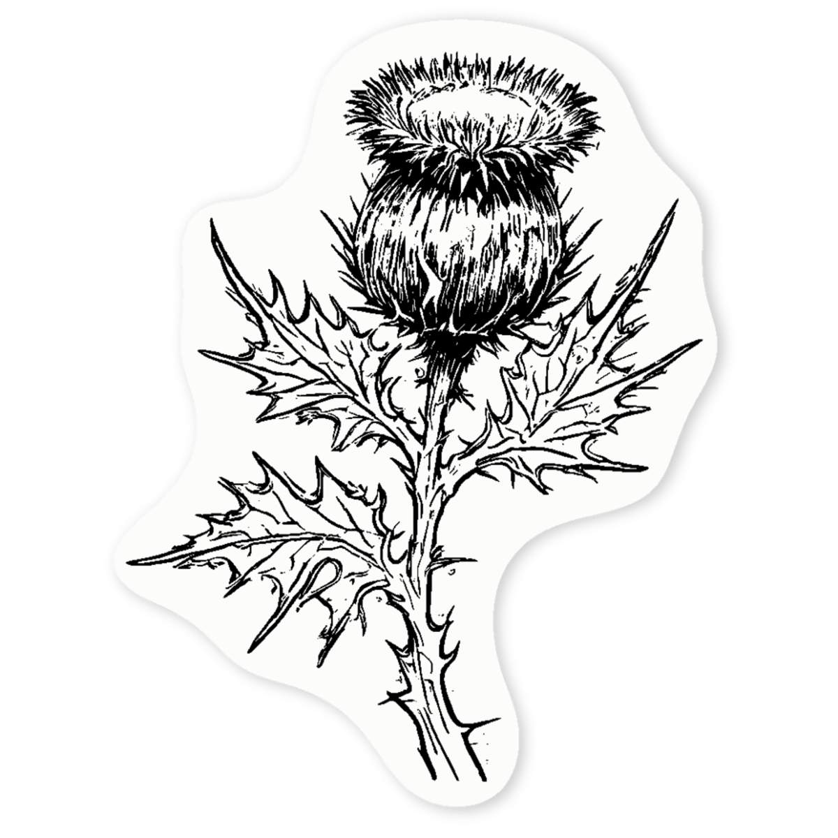 'Scottish Thistle' Clear Sticker Decals (DC046555)