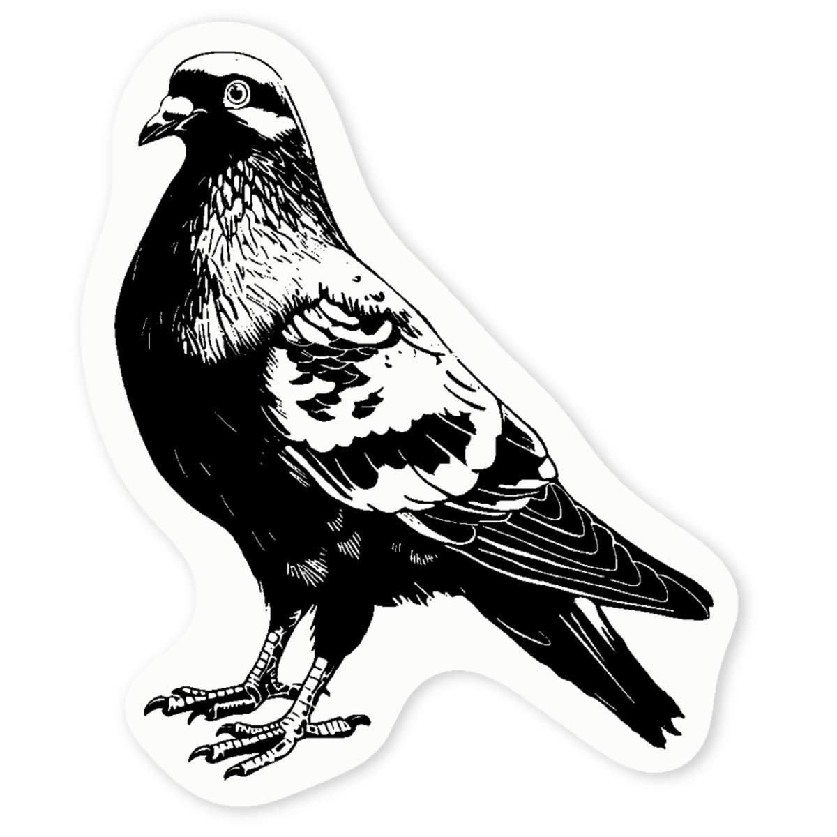 'Standing Pigeon' Clear Sticker Decals (DC047844)
