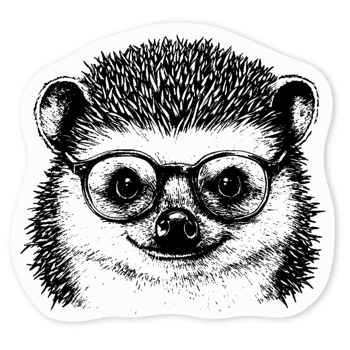 'Hedgehog Wearing Glasses' Clear Sticker Decals (DC049243)