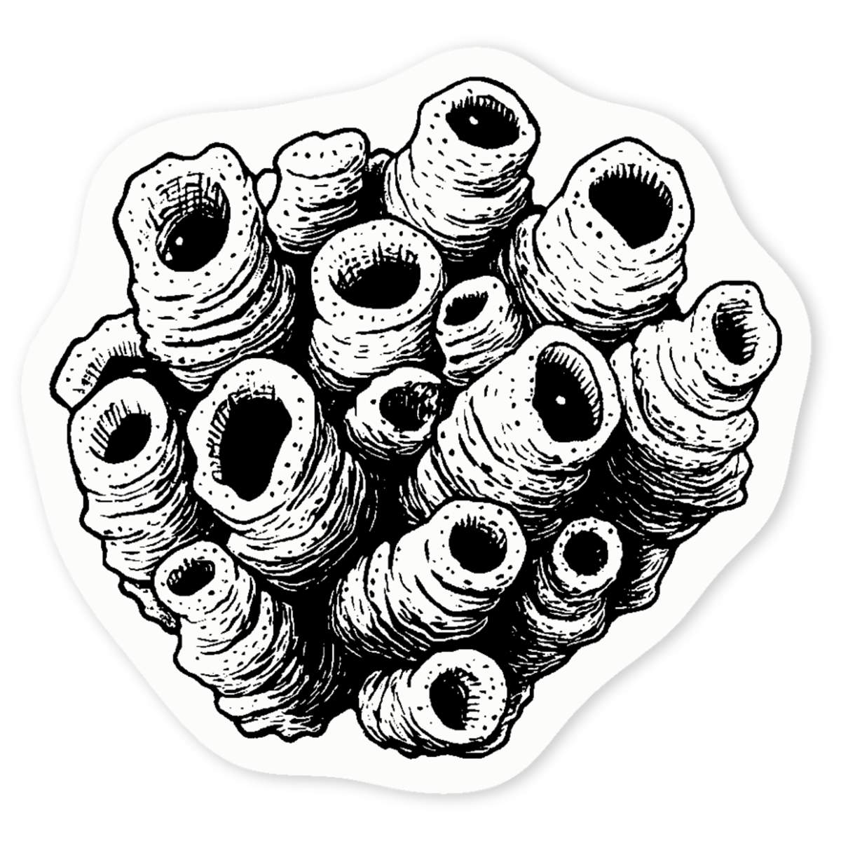 'Enclave of Barnacles' Clear Sticker Decals (DC052098)