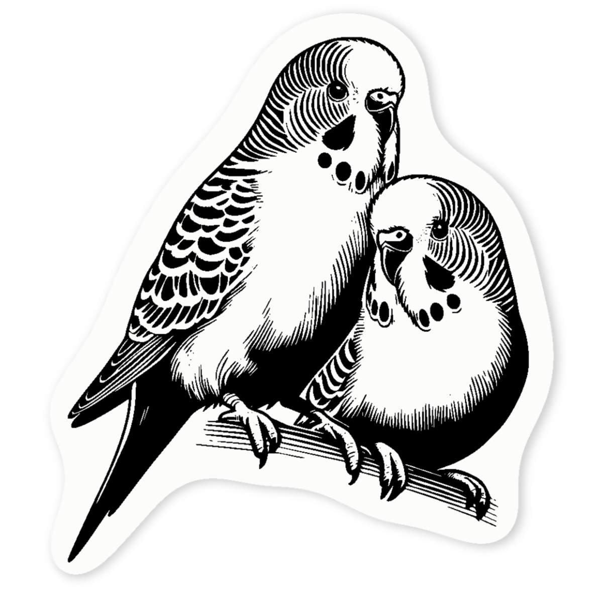 'Budgerigar Friends' Clear Sticker Decals (DC053628)