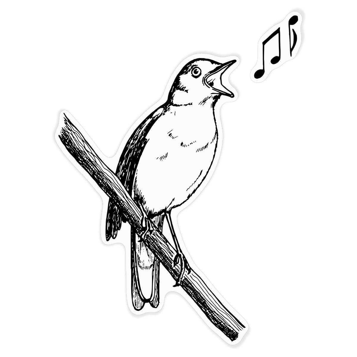 'Common Nightingale' Clear Premium Vinyl Decal Stickers – Waterproof, Durable & Easy to Apply - For Car Bumpers, Windows, Bins & More - XL (460mm) (DC00108140)