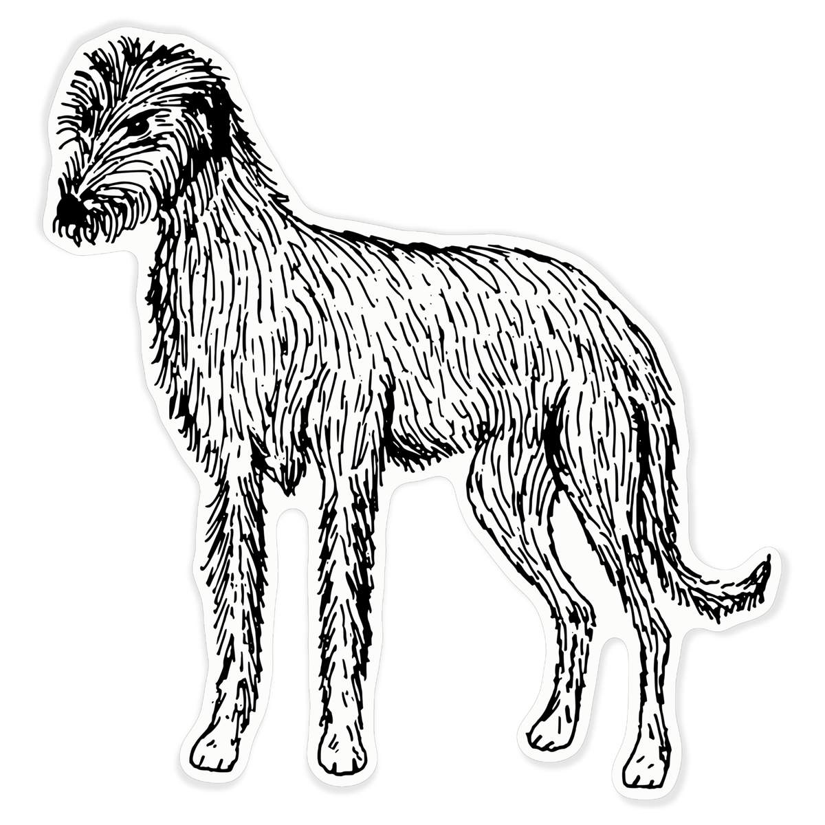 'Lurcher' Clear Premium Vinyl Decal Stickers – Waterproof, Durable & Easy to Apply - For Car Bumpers, Windows, Bins & More - XL (460mm) (DC00111228)