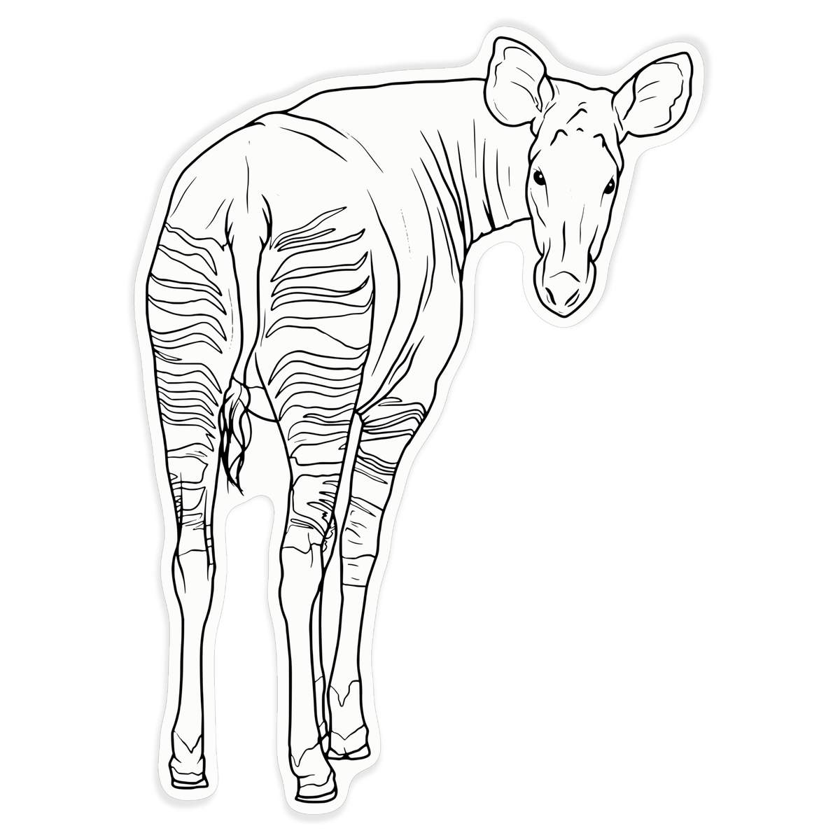 'Okapi Looking Back' Clear Premium Vinyl Decal Stickers – Waterproof, Durable & Easy to Apply - For Car Bumpers, Windows, Bins & More - XL (460mm) (DC00129447)