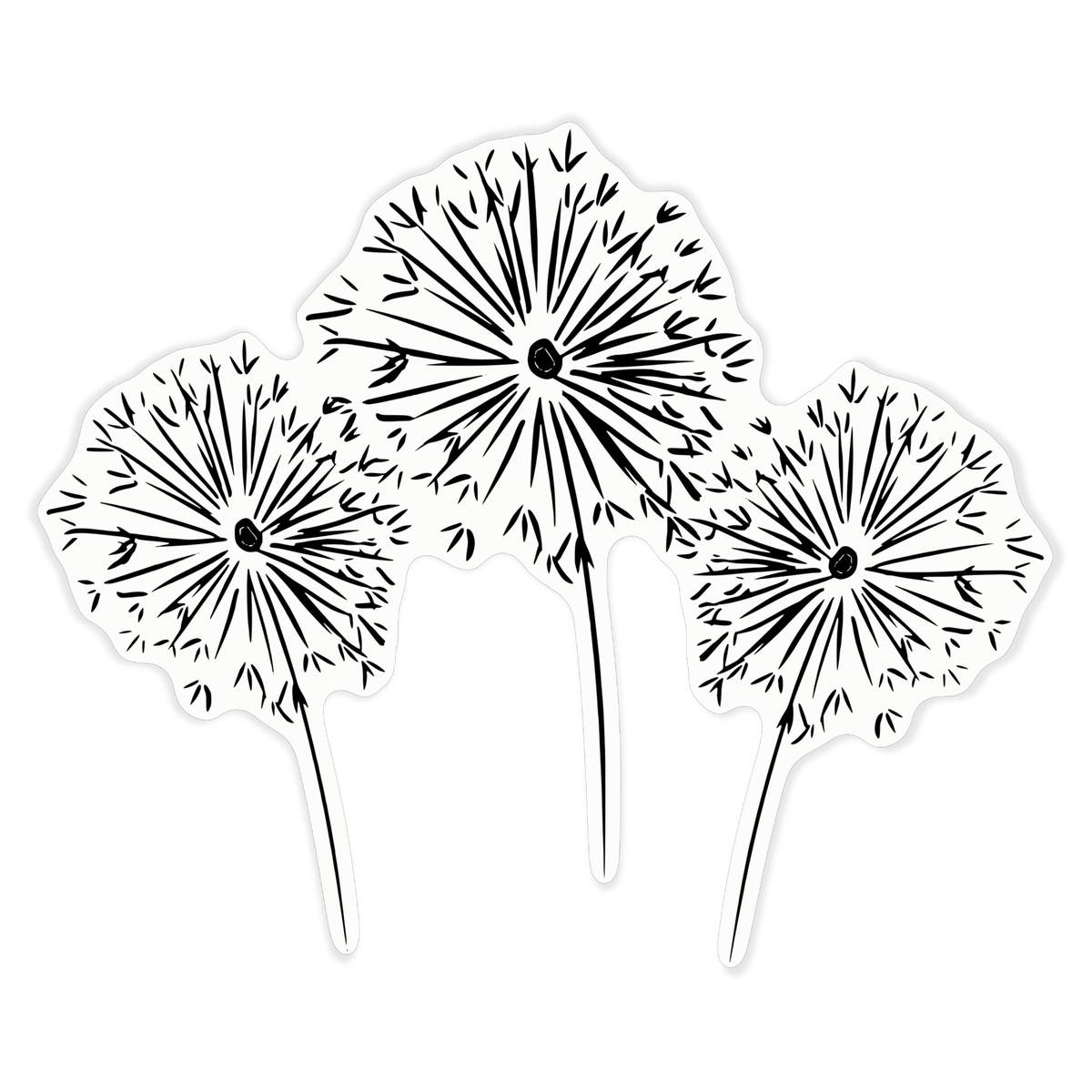 'Dandelion Clocks' Clear Premium Vinyl Decal Stickers – Waterproof, Durable & Easy to Apply - For Car Bumpers, Windows, Bins & More - XL (460mm) (DC00131303)