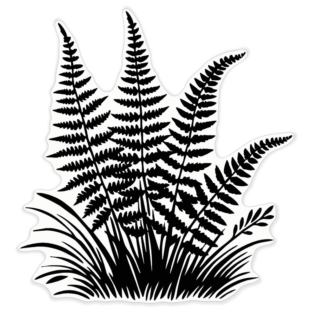 'Ferns and Grass' Vinyl Decal Sticker - Clear, 72cm - Waterproof Permanent Graphic for Cars, Windows, Bins and Smooth Surfaces (DC00158722)