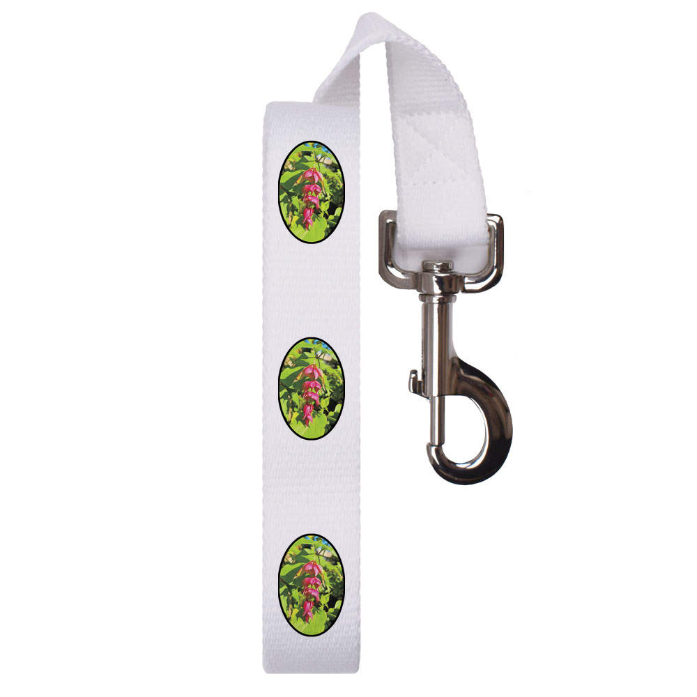 'Himalayan Honeysuckle' Dog Lead / Leash (DL00014861)