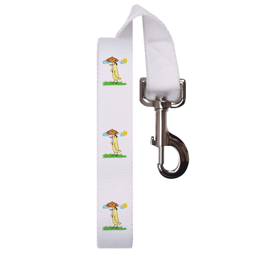 'Duck Walking In The Sunshine' Dog Lead / Leash (DL00023121)