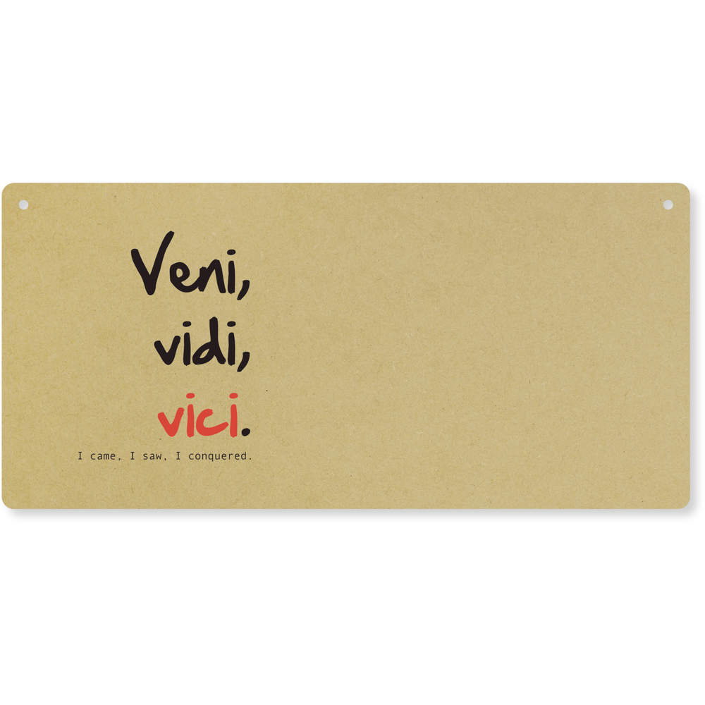'Veni, Vidi, Vici.  I came, I saw, I conquered' Large Wooden Wall Plaque / Door Sign (DP00059016)