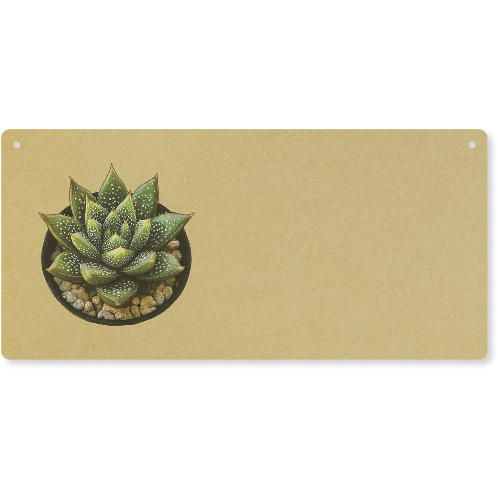 'Zebra Haworthia Succulent' Large Wooden Wall Plaque / Door Sign (DP00066784)