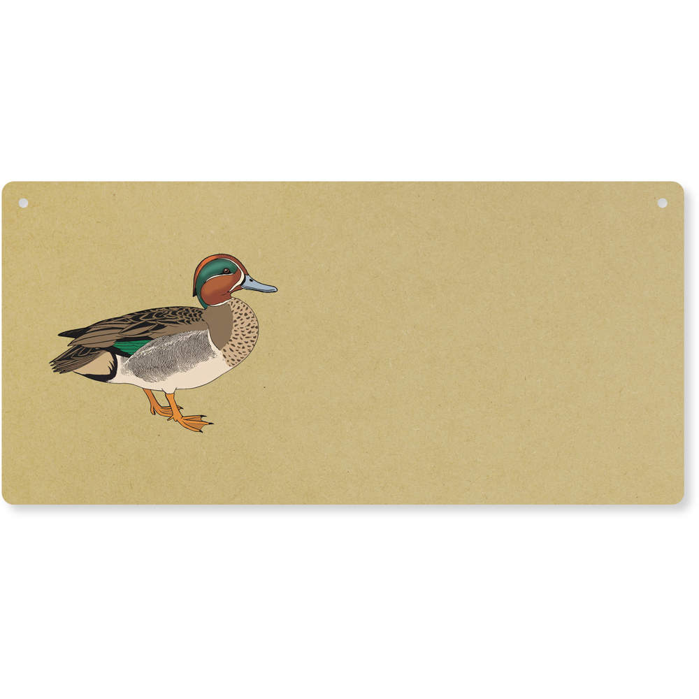 'Green Winged Teal Duck' Door Plaque / Wall Sign - Decorative Hanging Sign for Bedrooms, Homes, Offices and Gifts (DP00073000)